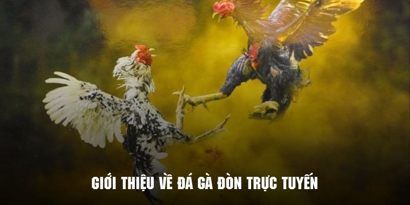 Tìm hiểu sơ lược về hình thức giải trí đá gà đòn online