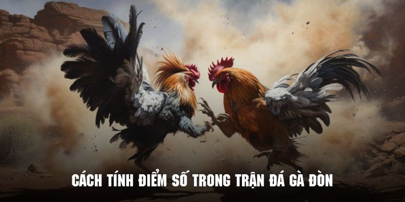 Cách tính điểm trong trận đá gà đòn vô cùng dễ hiểu