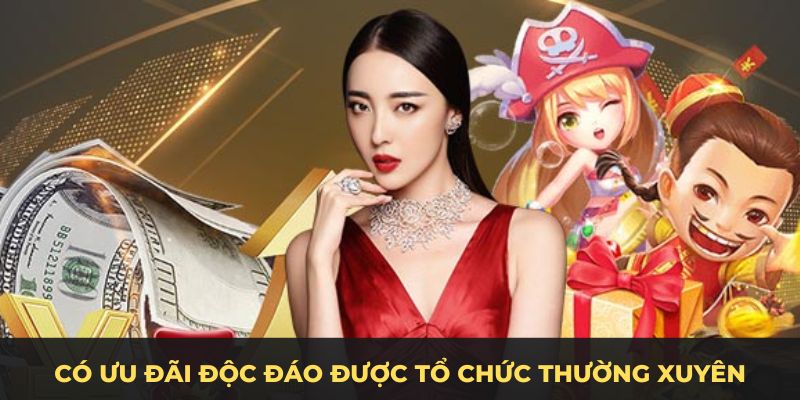 Có ưu đãi độc đáo được tổ chức thường xuyên